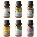 Essential Oils Set by Pure Aroma - Top 6 Aromatherapy Oils Gift Set-6 Pack, 10ml (Eucalyptus, Lavender, Lemongrass, Sweet Orange, Peppermint, Tea Tree) - Image 3