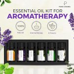 Essential Oils Set by Pure Aroma - Top 6 Aromatherapy Oils Gift Set-6 Pack, 10ml (Eucalyptus, Lavender, Lemongrass, Sweet Orange, Peppermint, Tea Tree) - Image 2